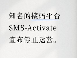 全国最大的接码平台是什么名字啊