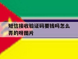 短信接收验证码要钱吗怎么弄的呀图片