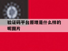 验证码平台原理是什么样的呢图片