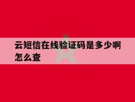 云短信在线验证码是多少啊怎么查