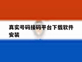 真实号码接码平台下载软件安装