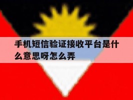 手机短信验证接收平台是什么意思呀怎么弄