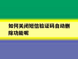 如何关闭短信验证码自动删除功能呢