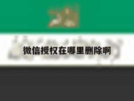 微信授权在哪里删除啊