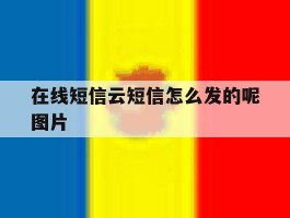 在线短信云短信怎么发的呢图片