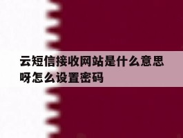 云短信接收网站是什么意思呀怎么设置密码