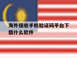 海外接收手机验证码平台下载什么软件