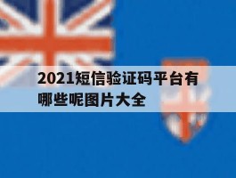 2021短信验证码平台有哪些呢图片大全