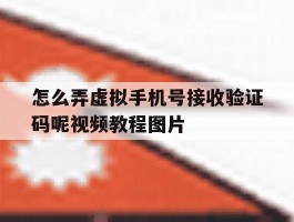 怎么弄虚拟手机号接收验证码呢视频教程图片