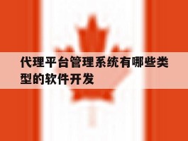 包含代理平台管理系统有哪些类型的软件开发的词条