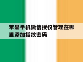 苹果手机微信授权管理在哪里添加指纹密码
