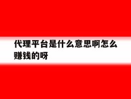 代理平台是什么意思啊怎么赚钱的呀的简单介绍