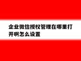 企业微信授权管理在哪里打开啊怎么设置的简单介绍