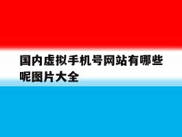 国内虚拟手机号网站有哪些呢图片大全