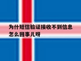 包含为什短信验证接收不到信息怎么回事儿呀的词条