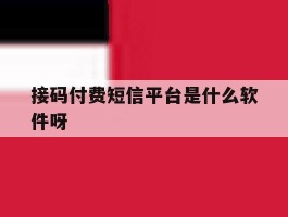 接码付费短信平台是什么软件呀
