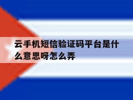 云手机短信验证码平台是什么意思呀怎么弄
