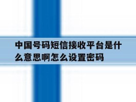 关于中国号码短信接收平台是什么意思啊怎么设置密码的信息