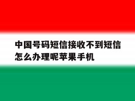 关于中国号码短信接收不到短信怎么办理呢苹果手机的信息