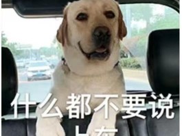 做线报群主一个月能赚多少钱啊是真的吗的简单介绍