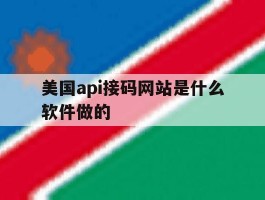 美国api接码网站是什么软件做的