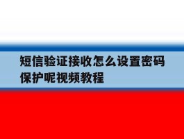 短信验证接收怎么设置密码保护呢视频教程