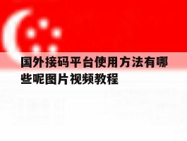 国外接码平台使用方法有哪些呢图片视频教程