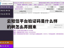 云短信平台验证码是什么样的啊怎么弄回来的简单介绍