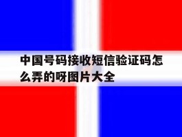 中国号码接收短信验证码怎么弄的呀图片大全的简单介绍