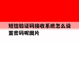 关于短信验证码接收系统怎么设置密码呢图片的信息