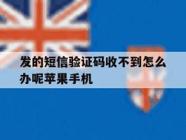 发的短信验证码收不到怎么办呢苹果手机的简单介绍