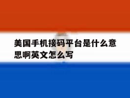 美国手机接码平台是什么意思啊英文怎么写的简单介绍