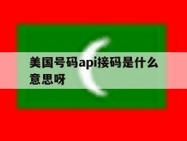 美国号码api接码是什么意思呀