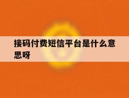 接码付费短信平台是什么意思呀