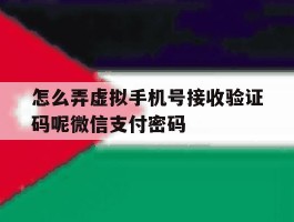 怎么弄虚拟手机号接收验证码呢微信支付密码