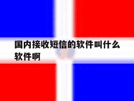 国内接收短信的软件叫什么软件啊