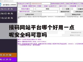 接码网站平台哪个好用一点呢安全吗可靠吗的简单介绍