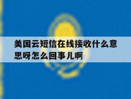 美国云短信在线接收什么意思呀怎么回事儿啊