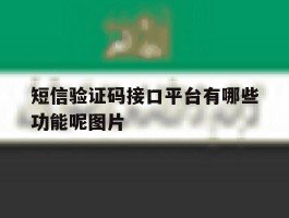 包含短信验证码接口平台有哪些功能呢图片的词条