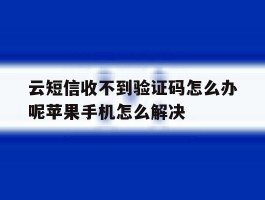 关于云短信收不到验证码怎么办呢苹果手机怎么解决的信息