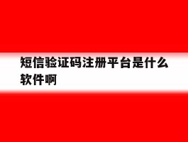 短信验证码注册平台是什么软件啊