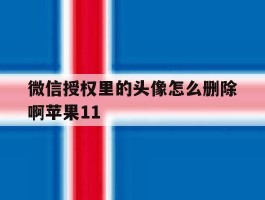 微信授权里的头像怎么删除啊苹果11的简单介绍