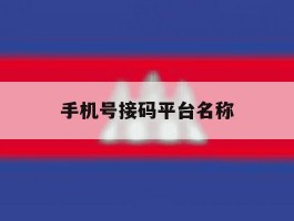 手机号接码平台名称