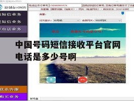 关于中国号码短信接收平台官网电话是多少号啊的信息