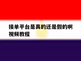 接单平台是真的还是假的啊视频教程