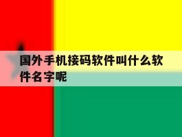 国外手机接码软件叫什么软件名字呢