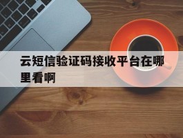云短信验证码接收平台在哪里看啊