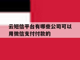 云短信平台有哪些公司可以用微信支付付款的的简单介绍