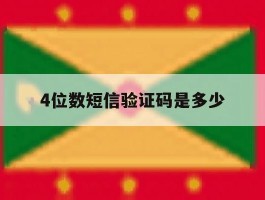 4位数短信验证码是多少