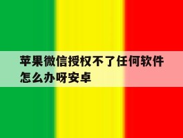 苹果微信授权不了任何软件怎么办呀安卓的简单介绍
